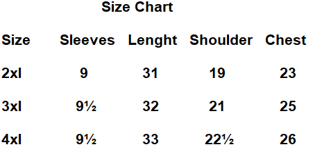 Plus Size Lacoste Gray Polo