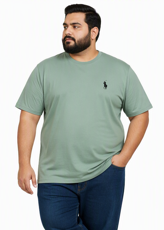 Premium Big & Tall Basic T-Shirts