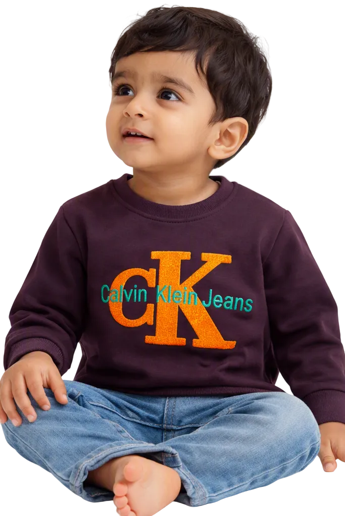 Toddler Winter Sweatshirts – Warm, Cozy & Stylish