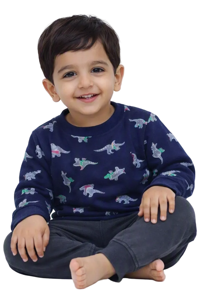 Premium Toddler Sweatshirts – Comfort Meets Style
