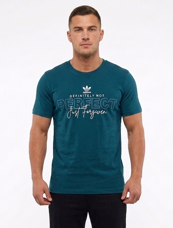 Men's "Definitely Not Perfect" Graphic Crew Neck T-Shirt - Sea Blue