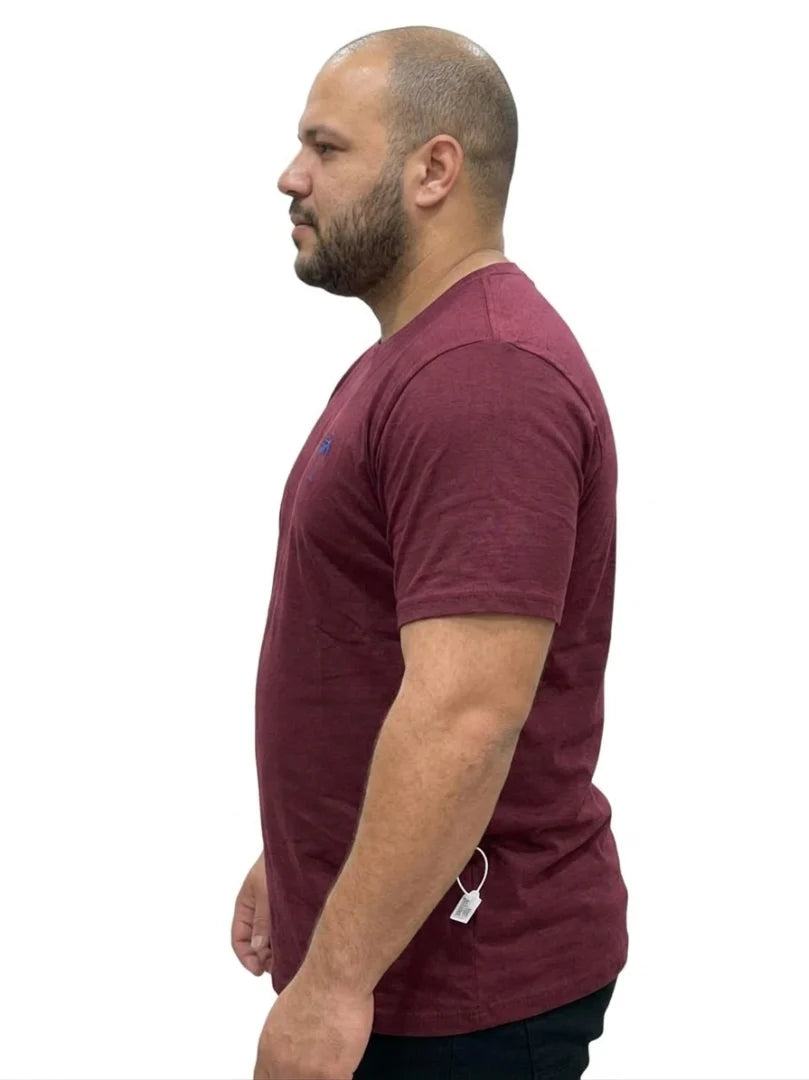 Premium Plus Size T-Shirts for Men