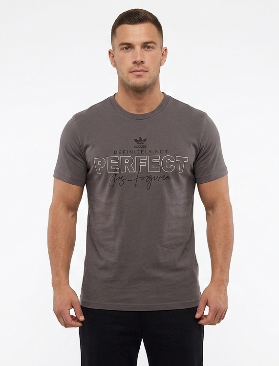 Men's "Definitely Not Perfect" Graphic Crew Neck T-Shirt - Charcoal Grey