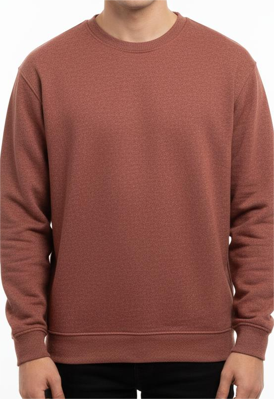 Plus Size Rust Brown Sweat Shirt