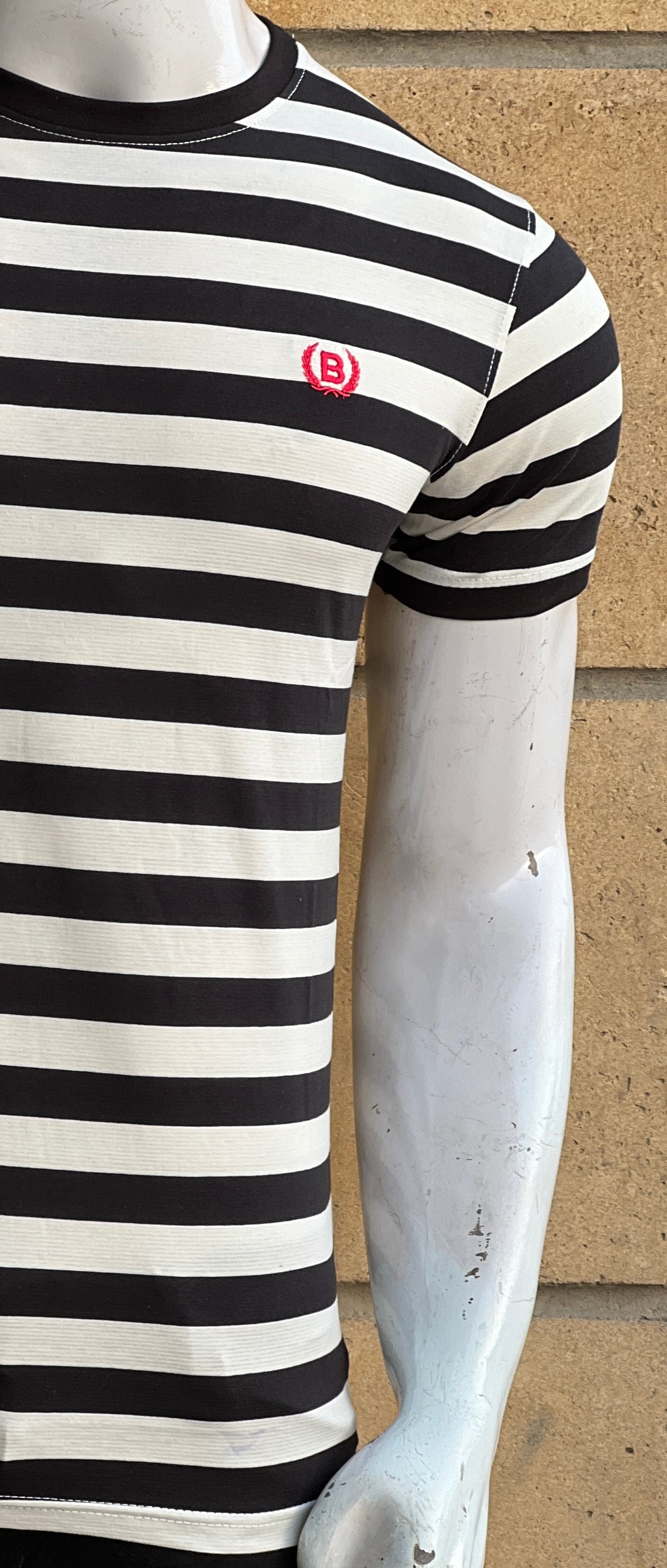 Men's Stripes T Shirt