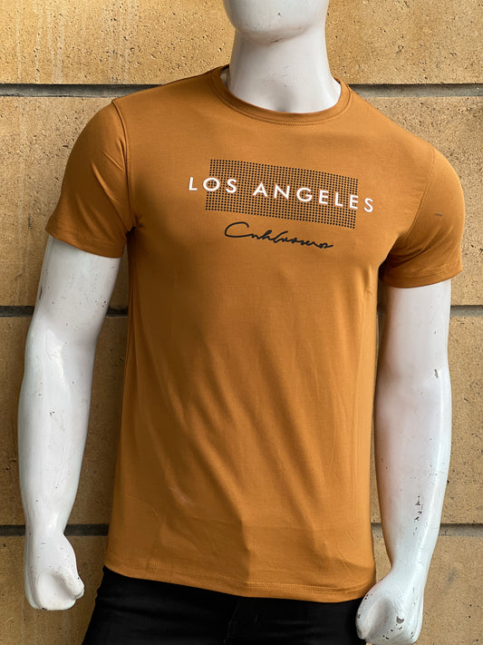 Men's Graphic T shirt