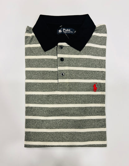 Men’s Plus Size Striped Polo Tee